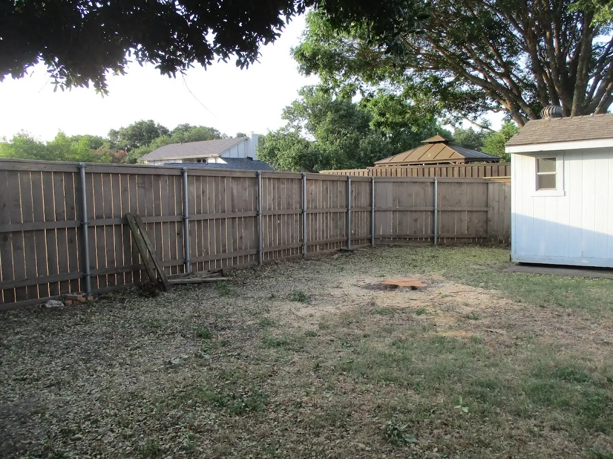 Cleared yard after professional tree removal in Wyarno
